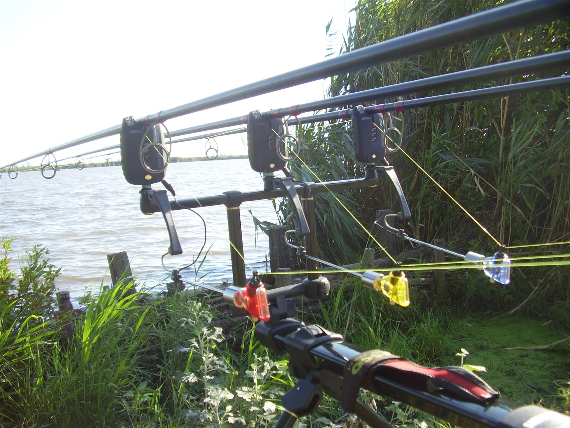 Alejandro Carp Team - Ohat Ungaria 2013 - p5070024.JPG